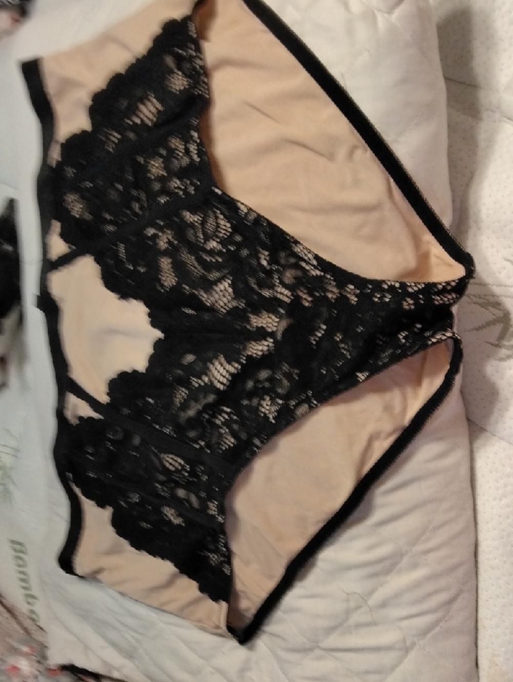 Blush and Black Lace High-Waist Light Control Briefs